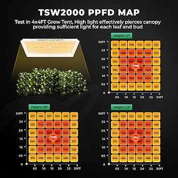 Amazon.com: MARS HYDRO 4x4 Grow Tent Kit Complete System with 300W